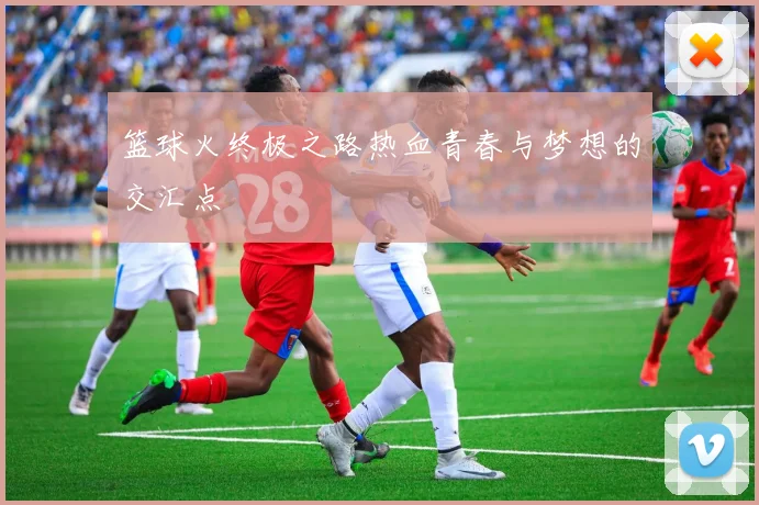 篮球火终极之路热血青春与梦想的交汇点