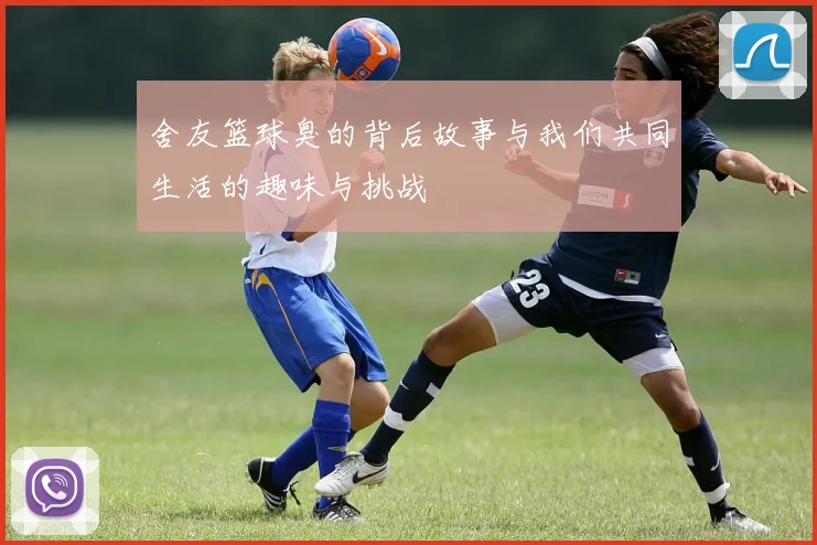 舍友篮球臭的背后故事与我们共同生活的趣味与挑战