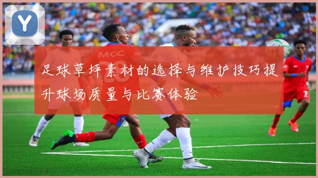 足球草坪素材的选择与维护技巧提升球场质量与比赛体验