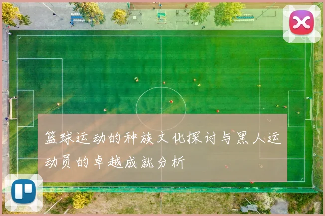 篮球运动的种族文化探讨与黑人运动员的卓越成就分析