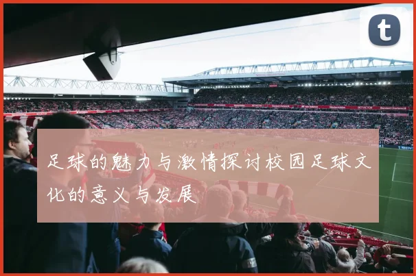 足球的魅力与激情探讨校园足球文化的意义与发展