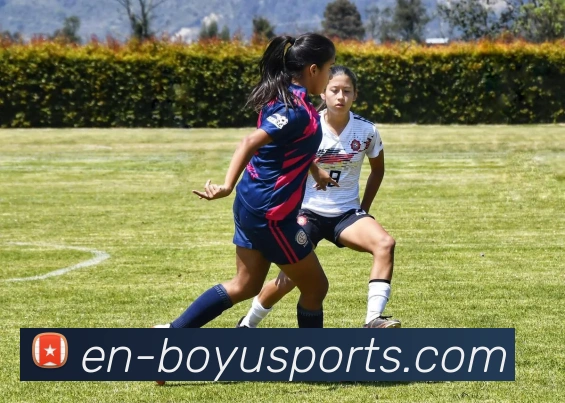 博鱼体育品牌故事