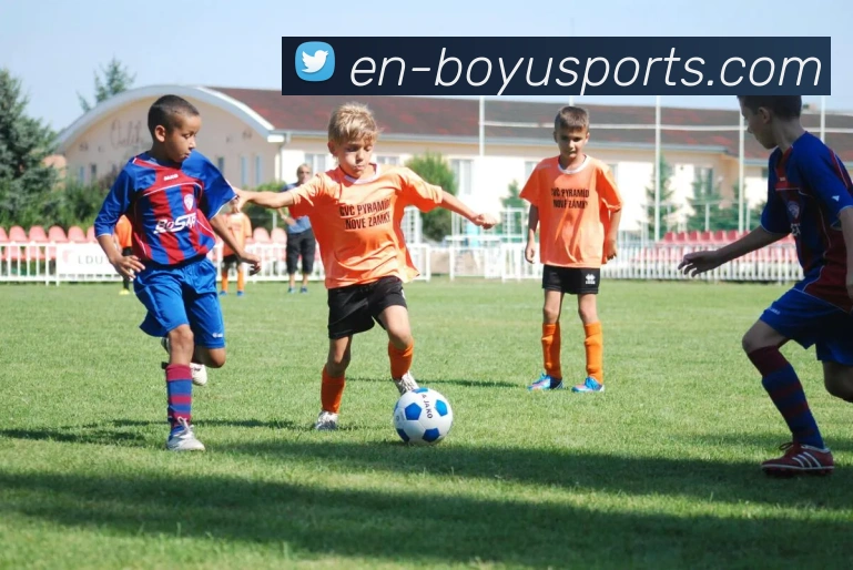 博鱼体育服务体系